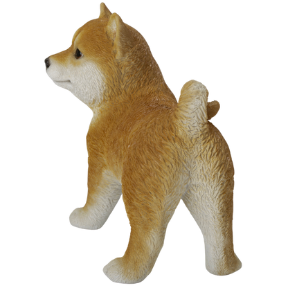横向き柴犬