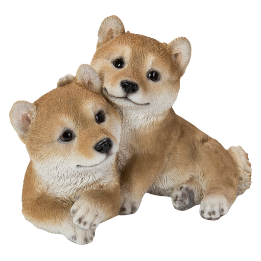 仲良し子柴犬