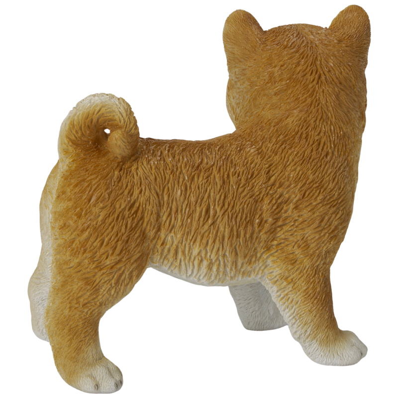 横向き柴犬