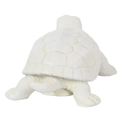 カメの文鎮マグネット 白