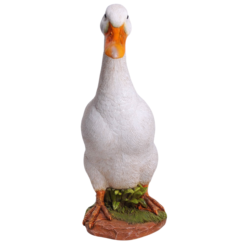 アヒル