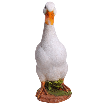 アヒル