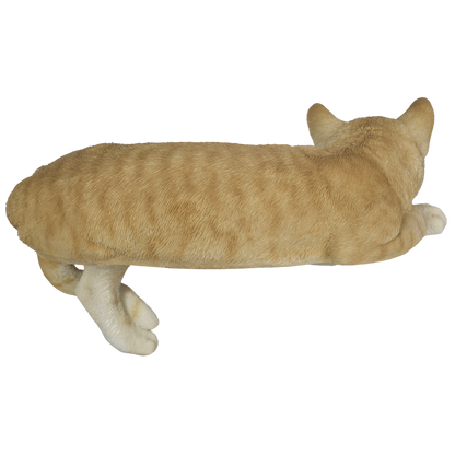 横たわるダークビスケット猫