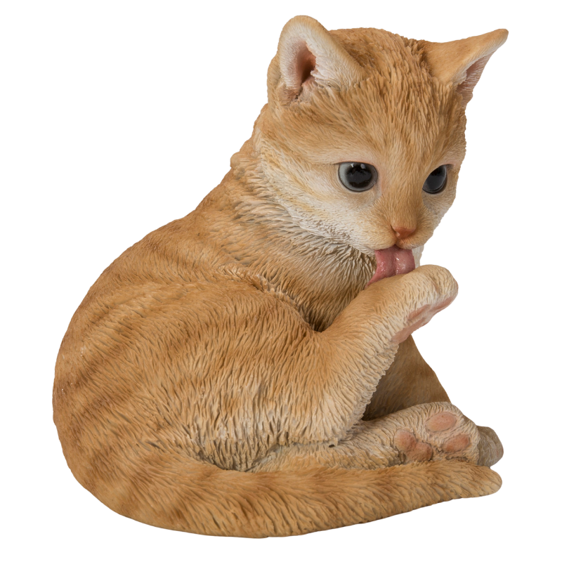 後ろ足をなめる茶トラ猫