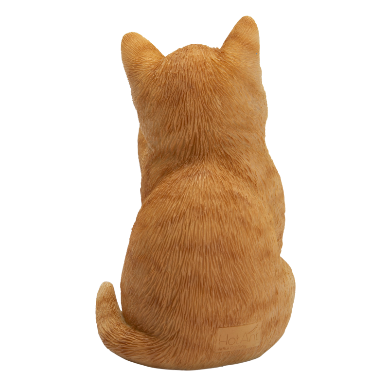 見ざる茶トラ猫