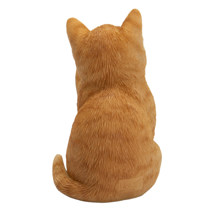 見ざる茶トラ猫