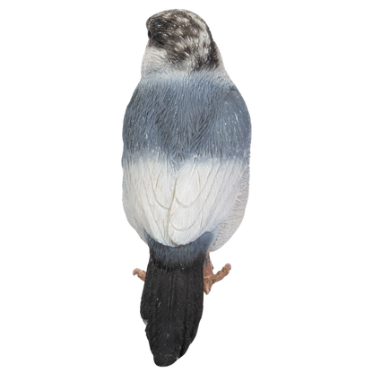 リピーター様⭐︎むつ文鳥 桜文鳥|WooBia公式オンラインショップ – WooBia(ウービア