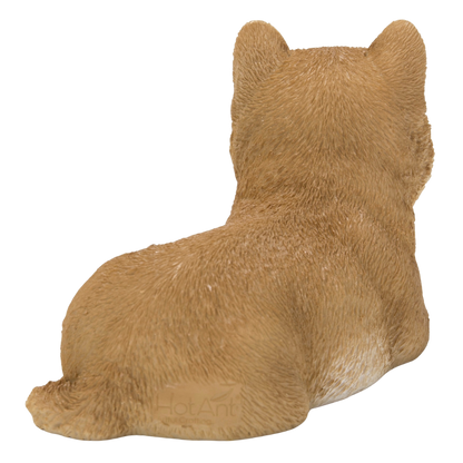リラックス子柴犬