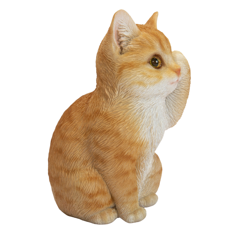 見ざる茶トラ猫