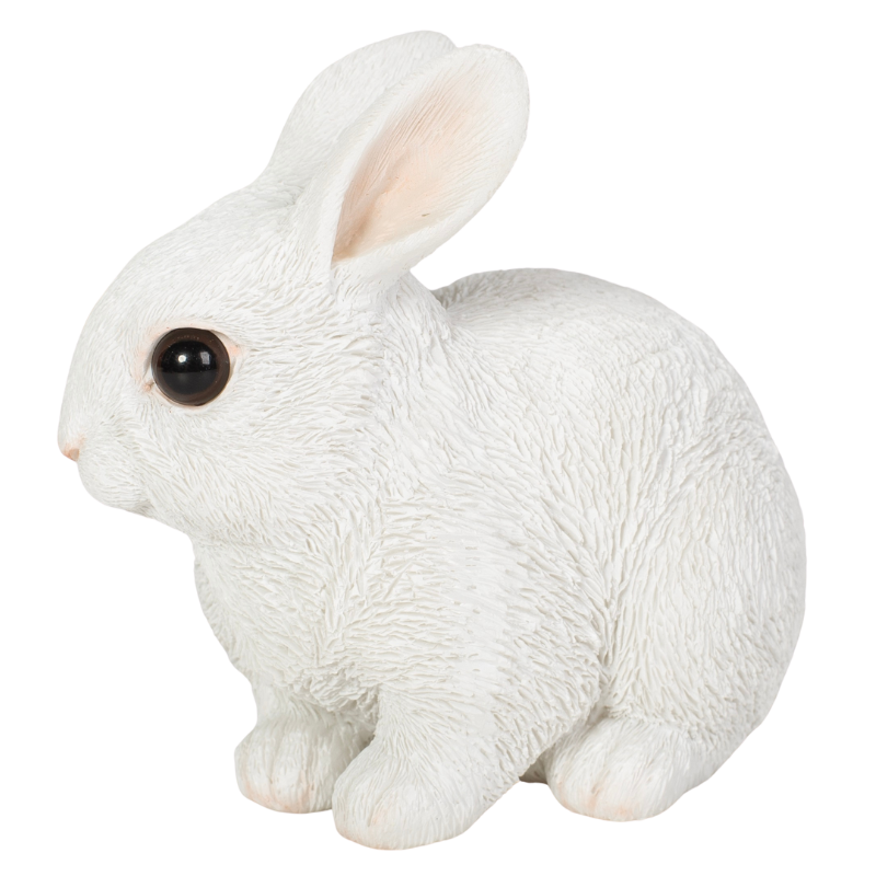 しゃがむ白ウサギ
