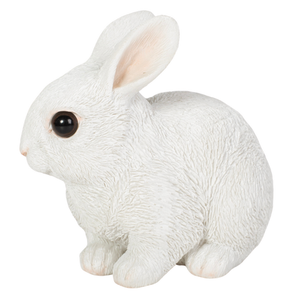 しゃがむ白ウサギ
