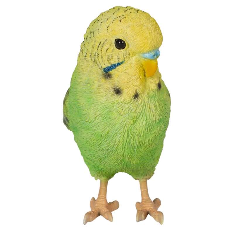 ペットショップ鳥信：ペット自慢