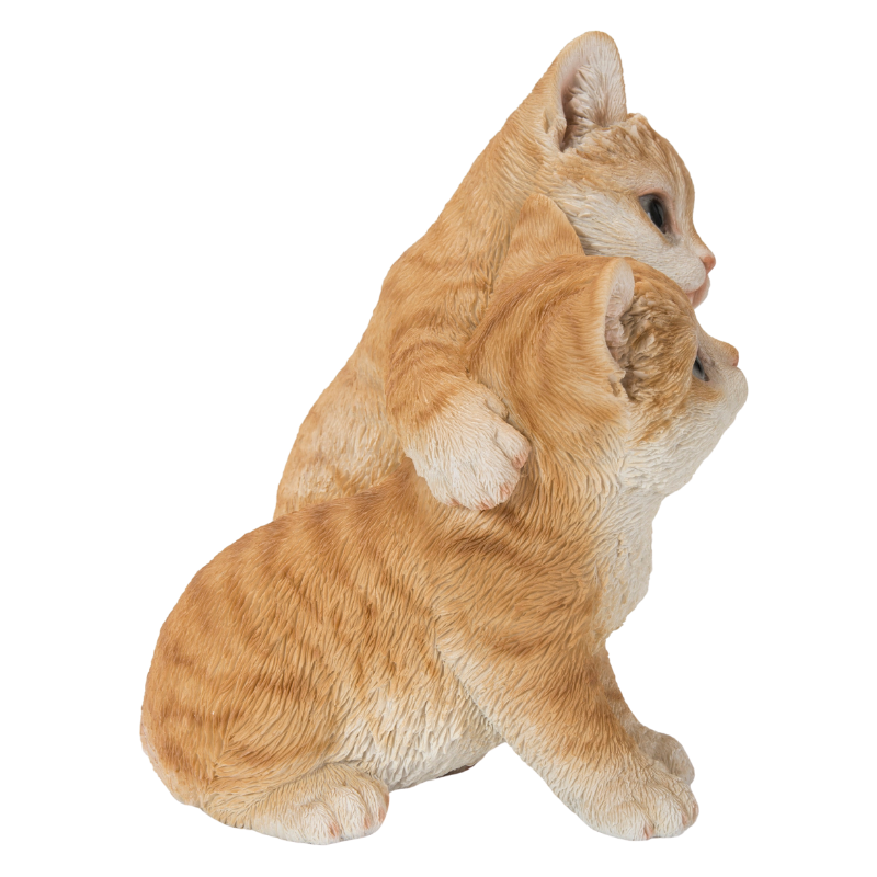 寄り添う茶トラ猫