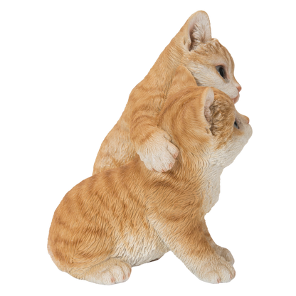 寄り添う茶トラ猫