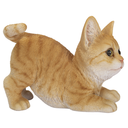 遊ぶ茶トラ猫|WooBia公式オンラインショップ – WooBia 遊ぶ茶トラ猫|WooBia公式オンラインショップ – WooBia