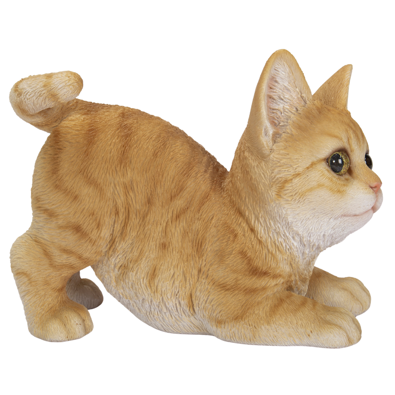 遊ぶ茶トラ猫|WooBia公式オンラインショップ – WooBia(ウービア 遊ぶ茶トラ猫|WooBia公式オンラインショップ – WooBia(ウービア