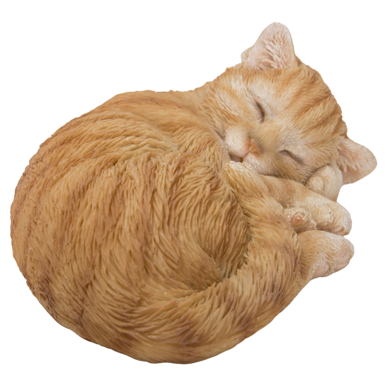 すやすや~茶トラ猫|WooBia公式オンラインショップ – WooBia すやすや~茶トラ猫|WooBia公式オンラインショップ – WooBia