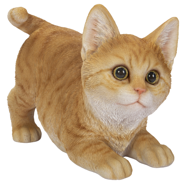 遊ぶ茶トラ猫|WooBia公式オンラインショップ – WooBia(ウービア 遊ぶ茶トラ猫|WooBia公式オンラインショップ – WooBia(ウービア