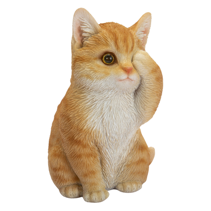 見ざる茶トラ猫