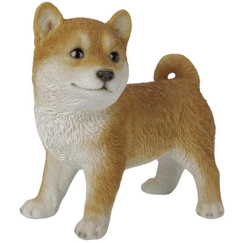 横向き柴犬
