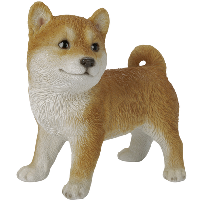 横向き柴犬