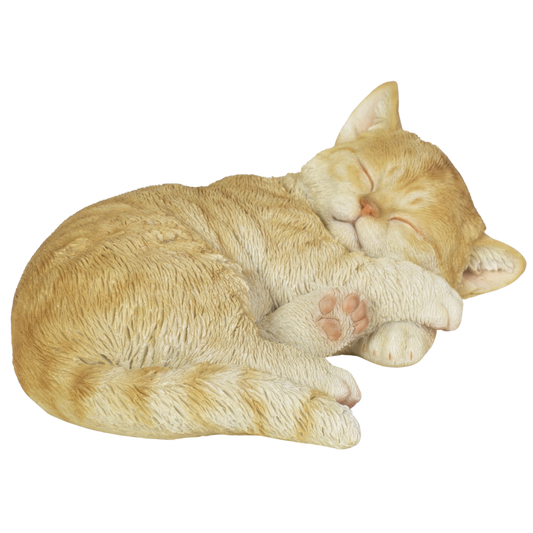 横向き寝ダークビスケットとら猫