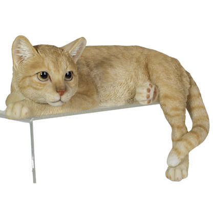 横たわるダークビスケット猫