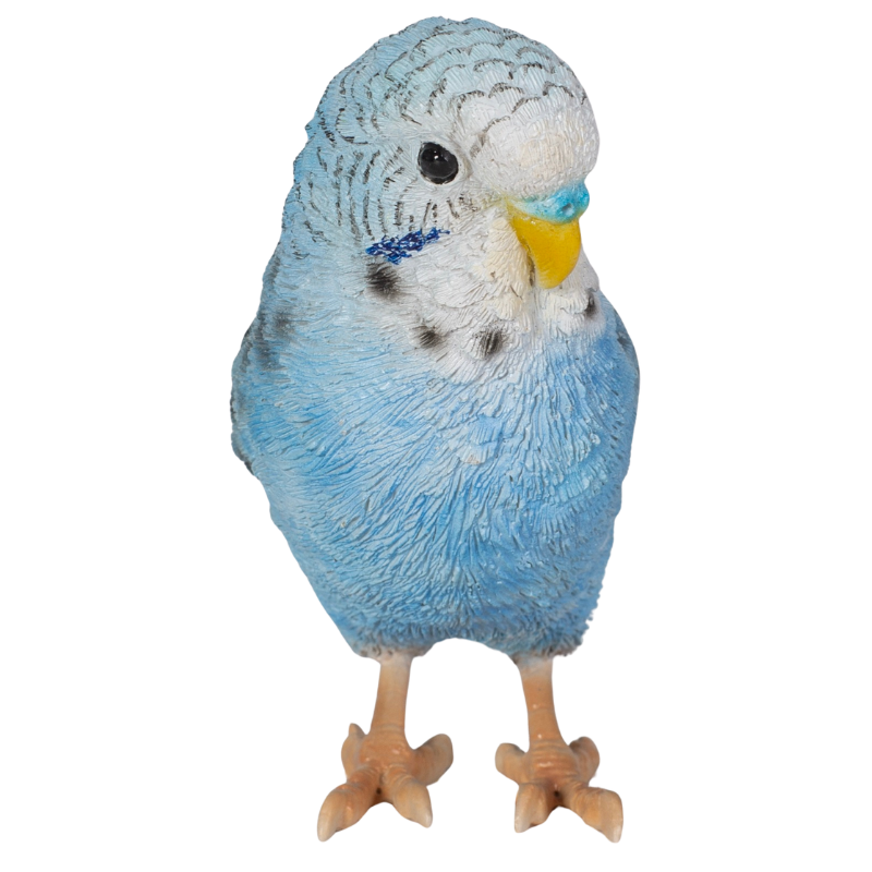 青セキセイインコ|WooBia公式オンラインショップ – WooBia(ウービア 青セキセイインコ|WooBia公式オンラインショップ – WooBia(ウービア