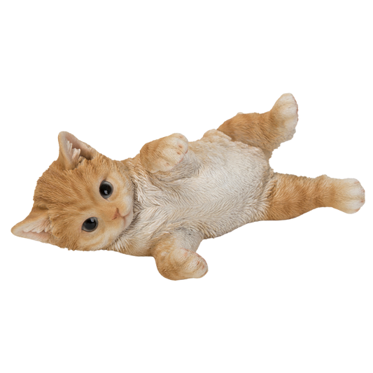 横向きでじゃれる茶トラ猫