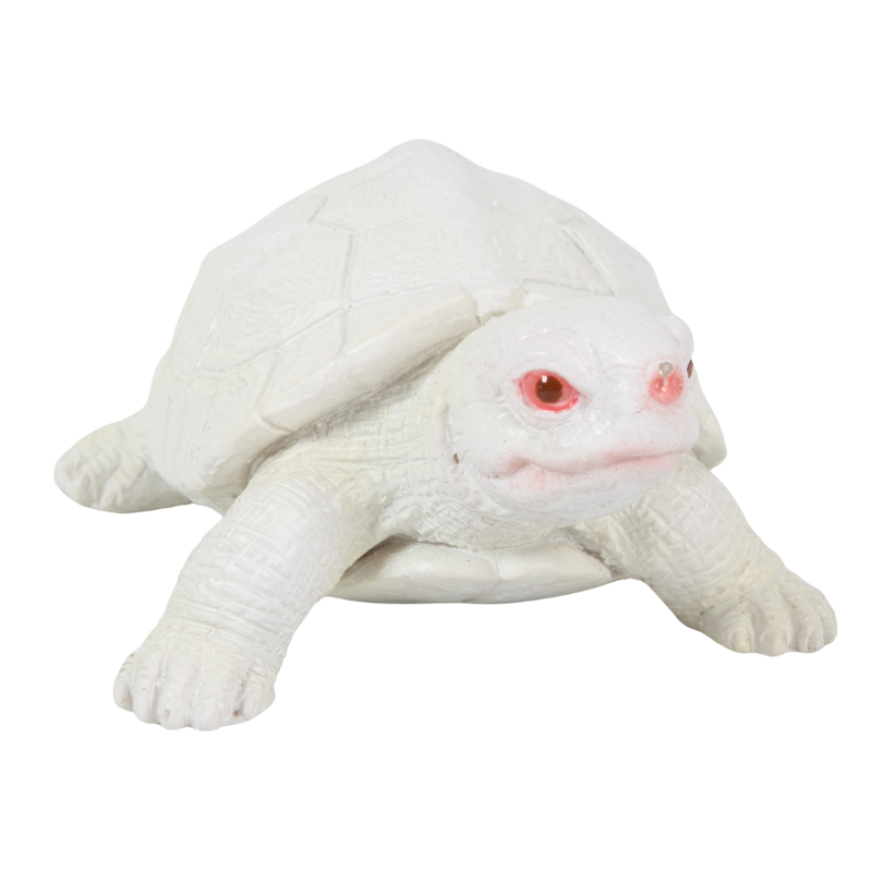 カメの文鎮マグネット 白