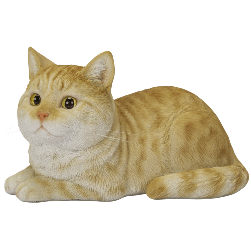 瞑想猫 茶トラさん m(*´︶`*)m 大サイズ 瞑想猫 茶トラさん m(*´︶`*)m 瞑想猫 茶トラさん m(*´︶`*)m 大サイズ 瞑想猫 茶トラさん m(*´︶`*)m