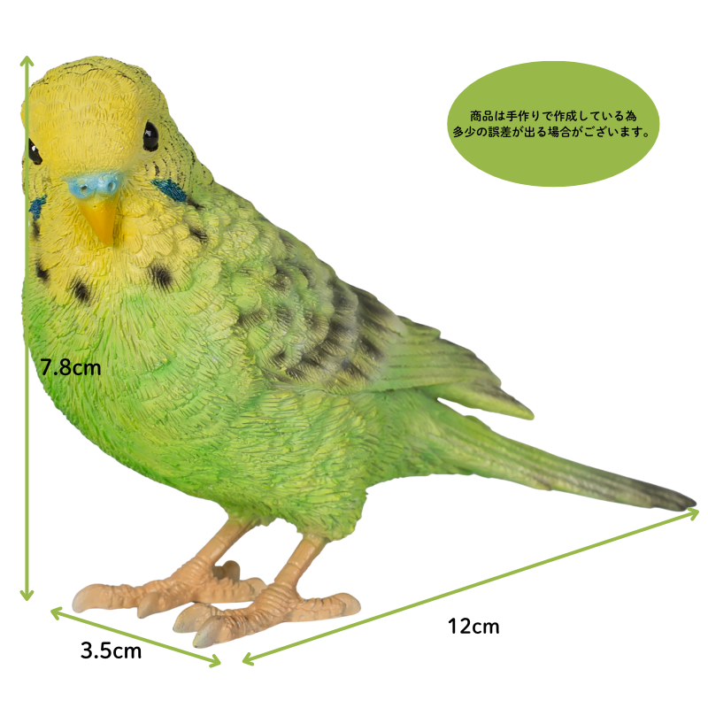 ショップ セキセイインコ スパングル緑色 メス 1611222