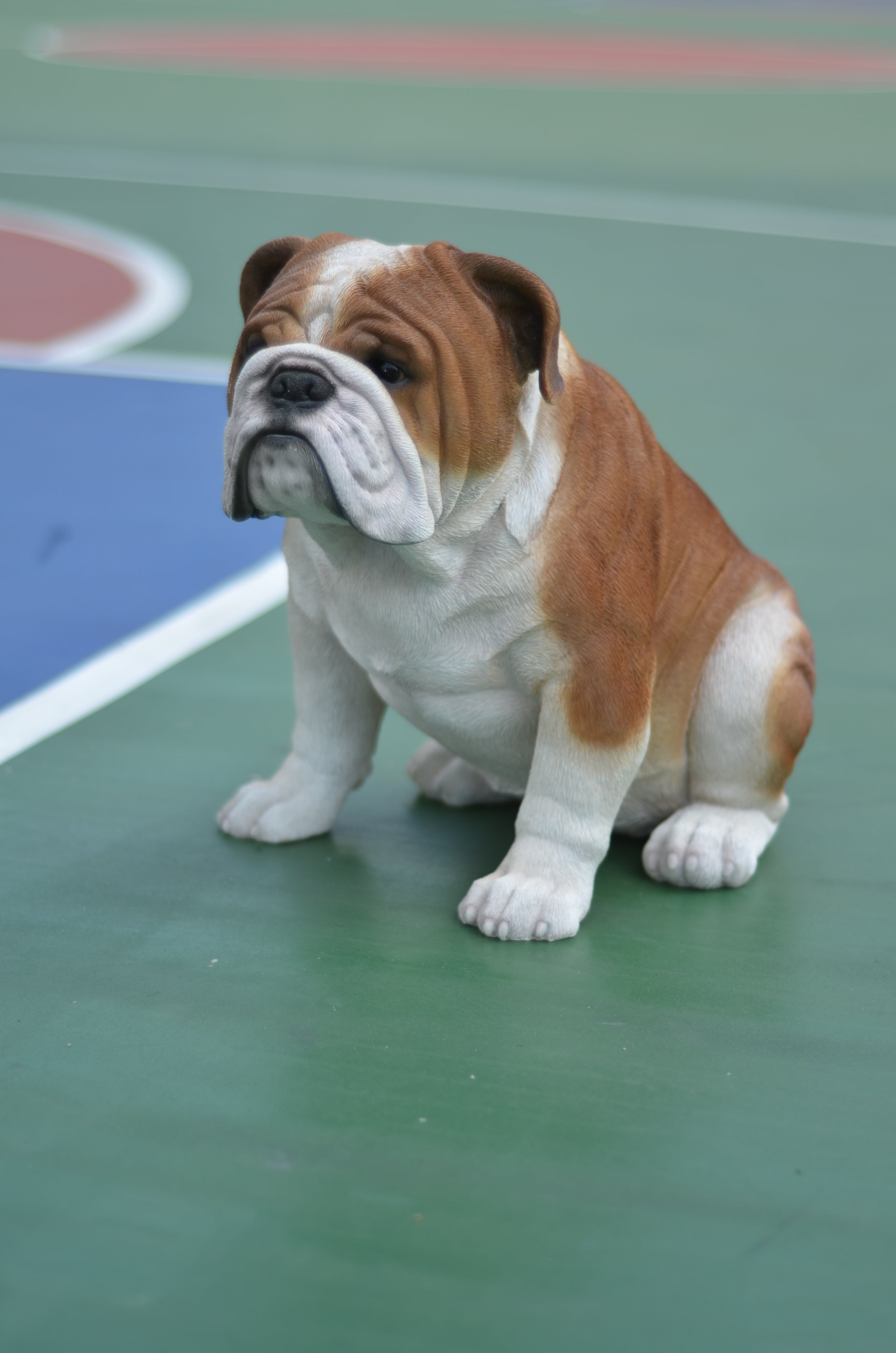 ブルドッグ（大）｜WooBia公式オンラインショップ – WooBia（ウービア