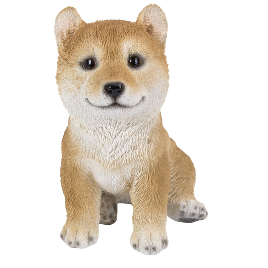 柴犬（小）