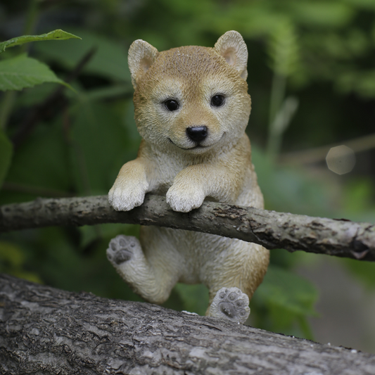 縁飾り 柴犬
