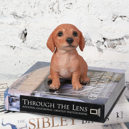 頭を上げるダックスフンド|WooBia公式オンラインショップ – WooBia 頭を上げるダックスフンド|WooBia公式オンラインショップ – WooBia