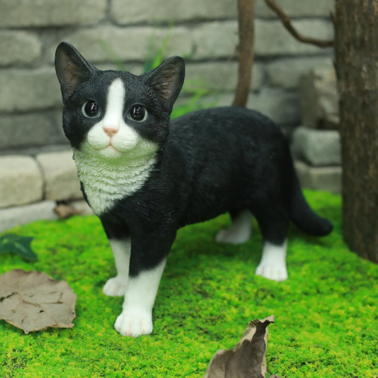見上げるハチワレ黒白猫