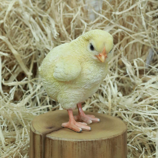 右向きのひよこ