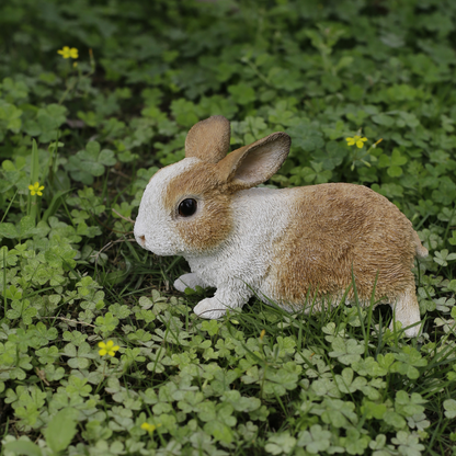 歩くウサギ