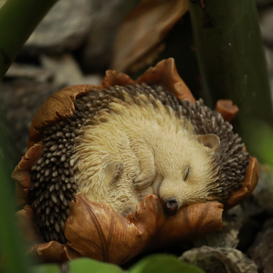 葉っぱに包まるハリネズミ（大）