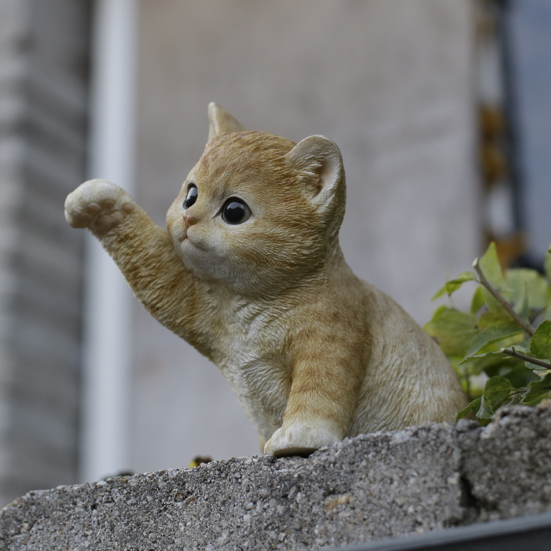 猫パンチ茶トラ猫