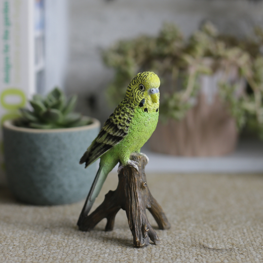 ミニセキセイインコ 黄緑