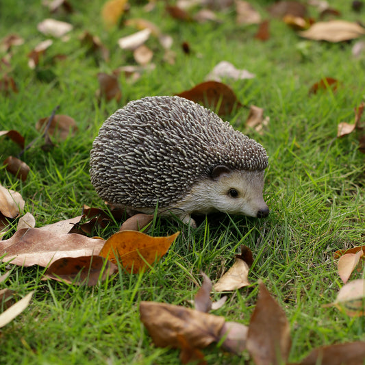 下向くハリネズミ