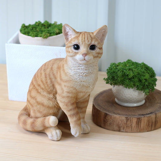 巻き座り茶トラ猫（大）