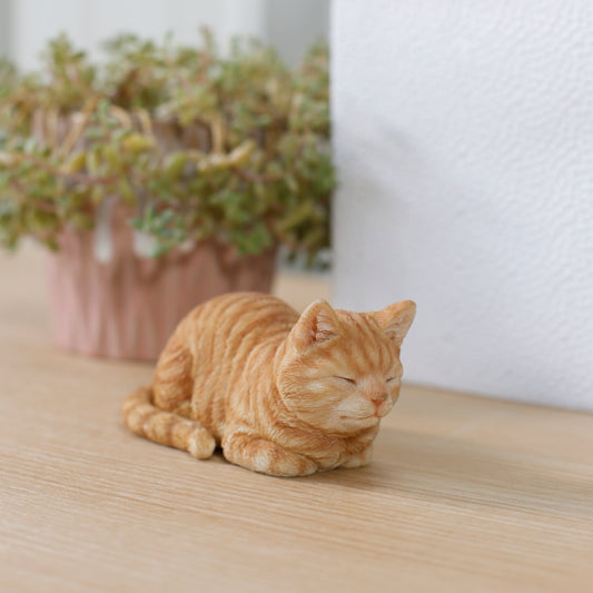 寝る茶トラ猫