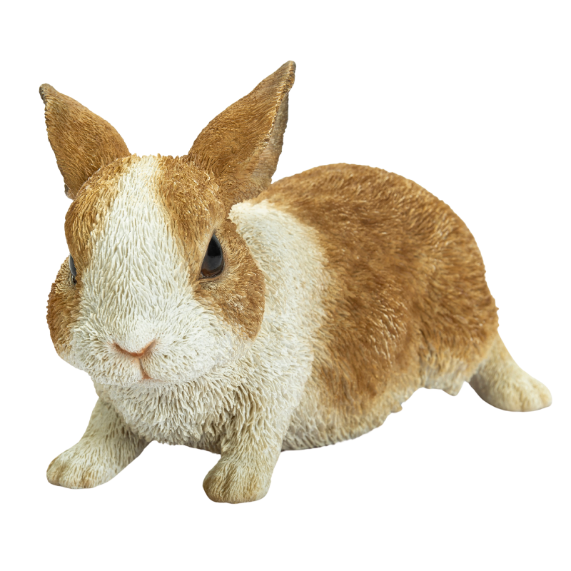 歩くウサギ|WooBia公式オンラインショップ – WooBia(ウービア 歩くウサギ|WooBia公式オンラインショップ – WooBia(ウービア