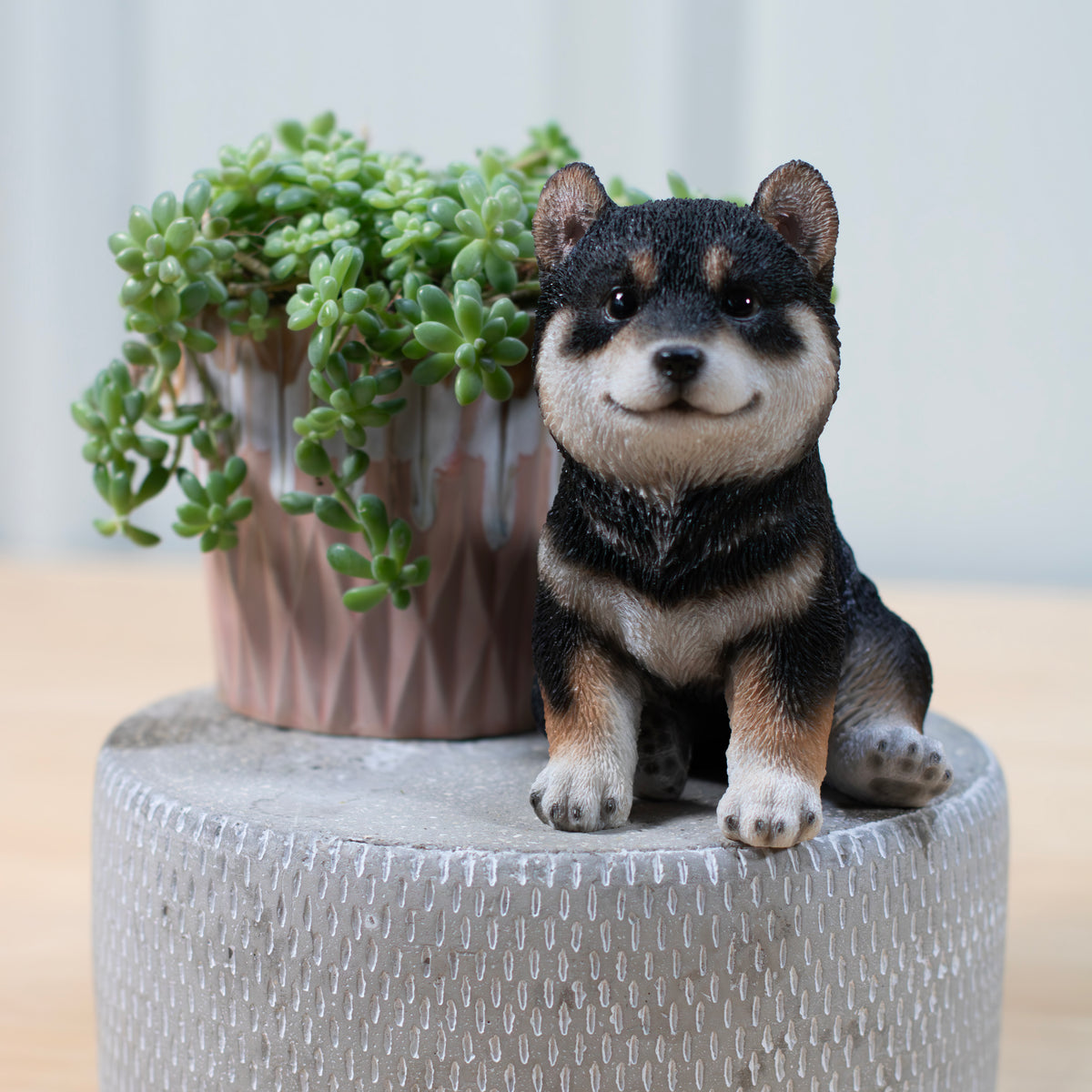 黒柴の子犬（小）