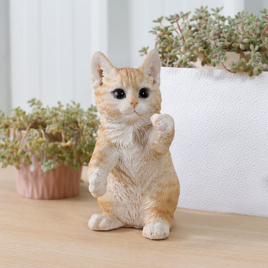 立つ茶トラ猫