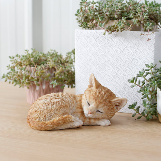 お眠り茶トラ猫（小）