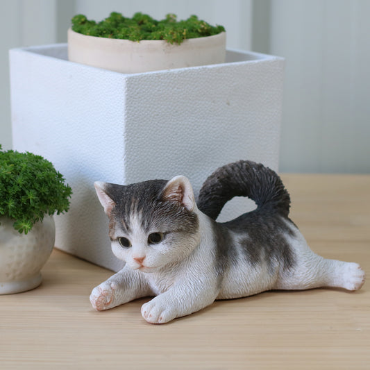 遊ぶサバトラ白子猫